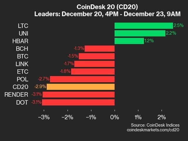 9am CoinDesk 20 Update for 2024-12-23: leaders chart